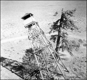 1959