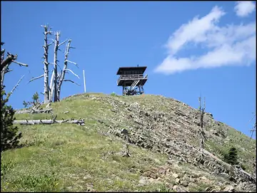2011