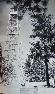 Circa 1955