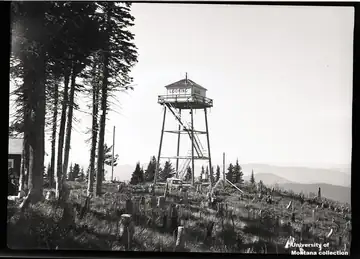 Gisborne (Looking Glass) in 1941