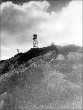 Vintage (c 1920) Photo