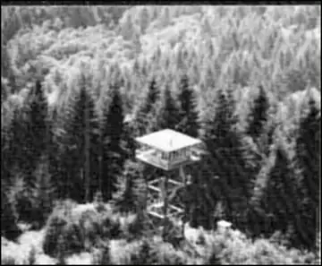 1979