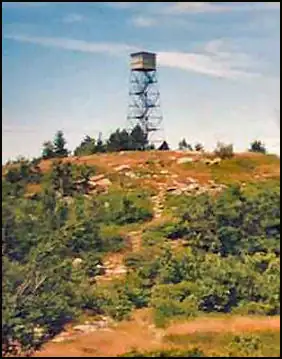 Photo of Ashburnham Tower Site