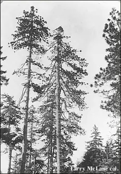 1933