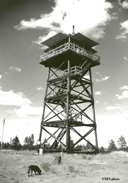 Nicoll Butte Lookout 1963