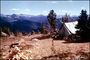 1959