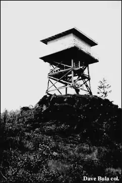 1979