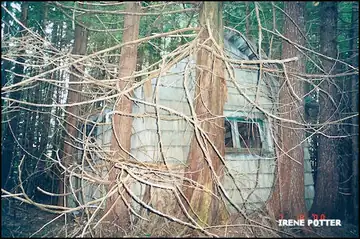 End view of crumbling cabin 7/8/2000