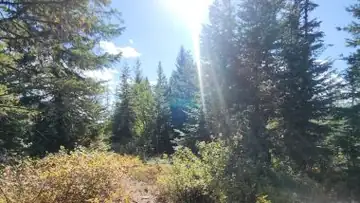 Honey Mountain Lookout