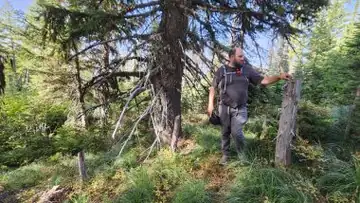 Hamilton Mountain Lookout