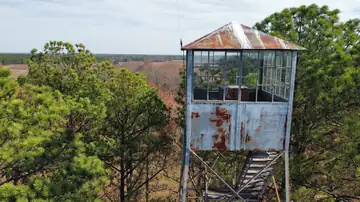 Photo of Lutts Lookout Tower