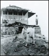 Photo of Alpine Lookout