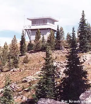 Dry Diggins in 1988