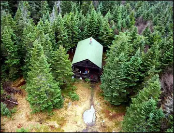 Nov. 2001--Cabin view from tower