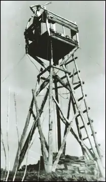 Photo of Berray Mountain Lookout
