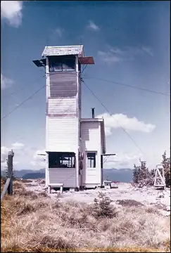 1955
