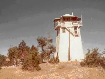 1955