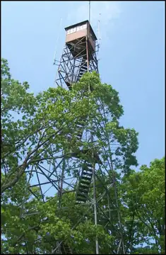 Photo of Buffalo Tower