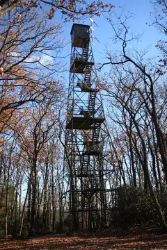 Cooks Forest