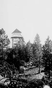 1927