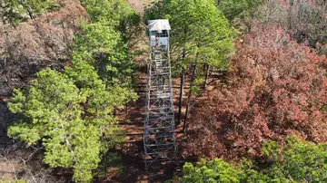Photo of Lutts Lookout Tower