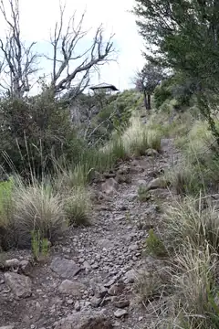 Photo of Sugarloaf Mountain Lookout