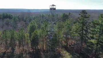 Photo of Franklin State Forest Lookout Tower