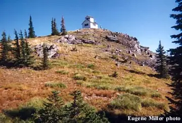 Priscilla Peak in 1998