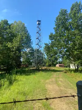 Photo of Shiloh Lookout Tower
