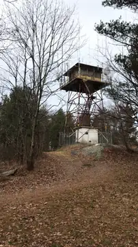 Photo of Black Mountain Fire Tower