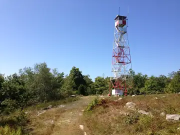 Photo of Catfish Fire Tower