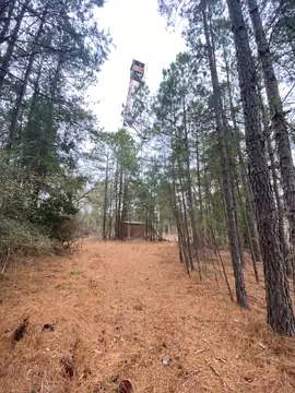 Photo of Key Hill Lookout Tower