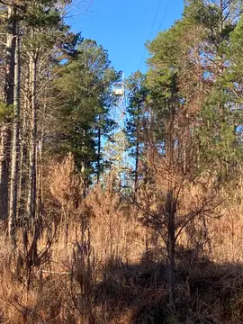 Photo of Ramer Fire Tower