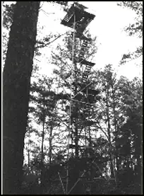 Photo of Fairwood Fire Tower