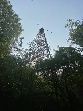 Photo of Pinetree Lookout Tower