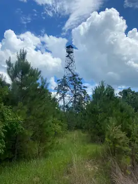 Photo of Flintkote (II) Lookout Tower