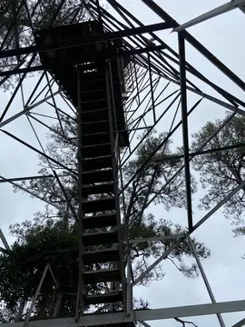 Photo of Nick Springs Lookout Tower