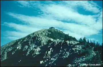 1961