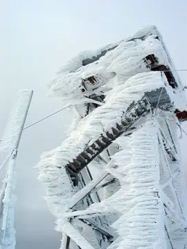 Ice covered - 2010
