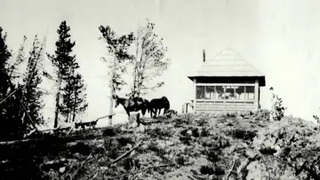 1932