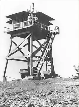 1965