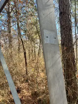 Photo of Franklin State Forest Lookout Tower