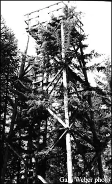 Photo of Diamond Peak Lookout Site (Kaniksu NF)