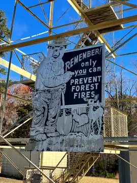 Photo of Central Lookout Tower