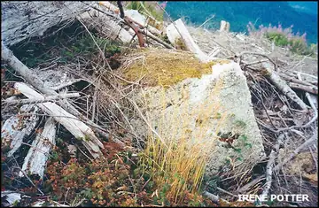 Site remains