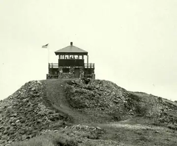 1941