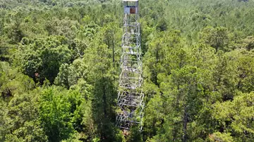 Photo of Poplar Creek Lookout Tower