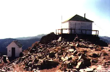 Rice Peak (Blue Point) L.O.