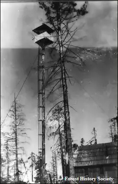 Photo of South Saddle Mountain Lookout Site