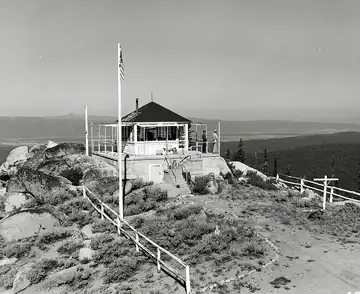1955